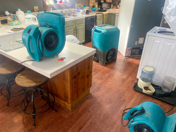 Best Emergency water damage restoration  in Mangum, OK