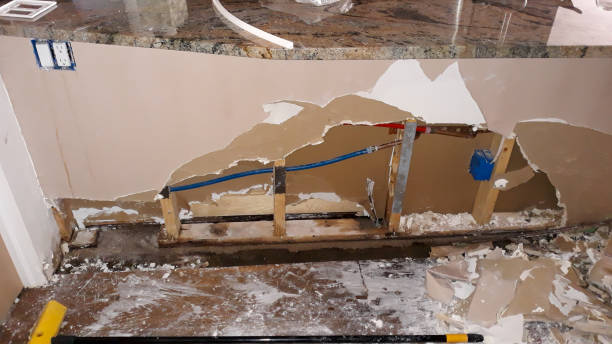 Best Mold removal after water damage  in Mangum, OK