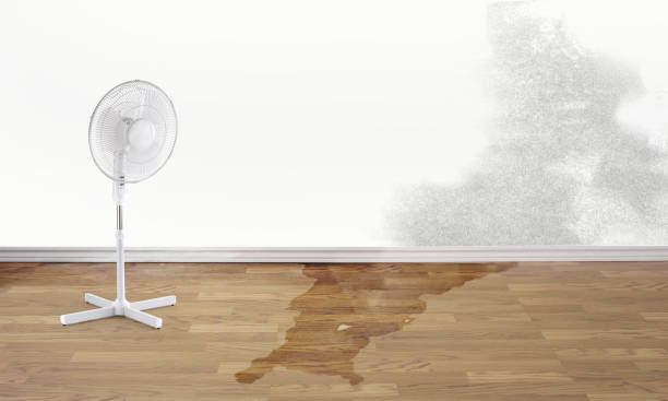 Best Ceiling water damage repair  in Mangum, OK