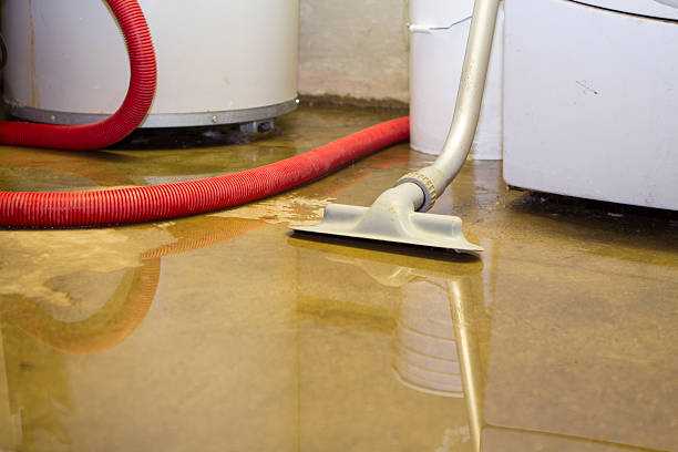 Best 24/7 water damage repair  in Mangum, OK