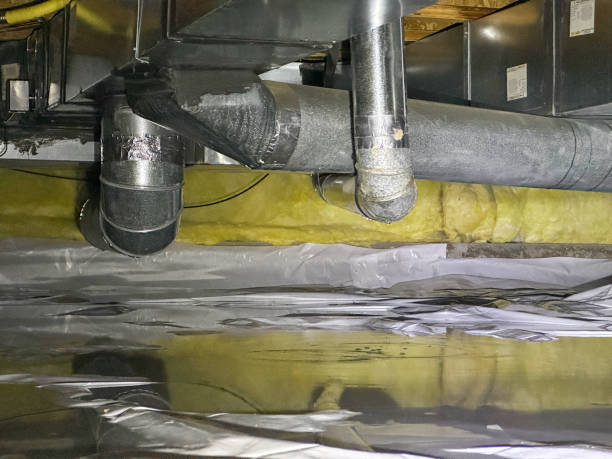Best Water damage cleanup near me  in Mangum, OK